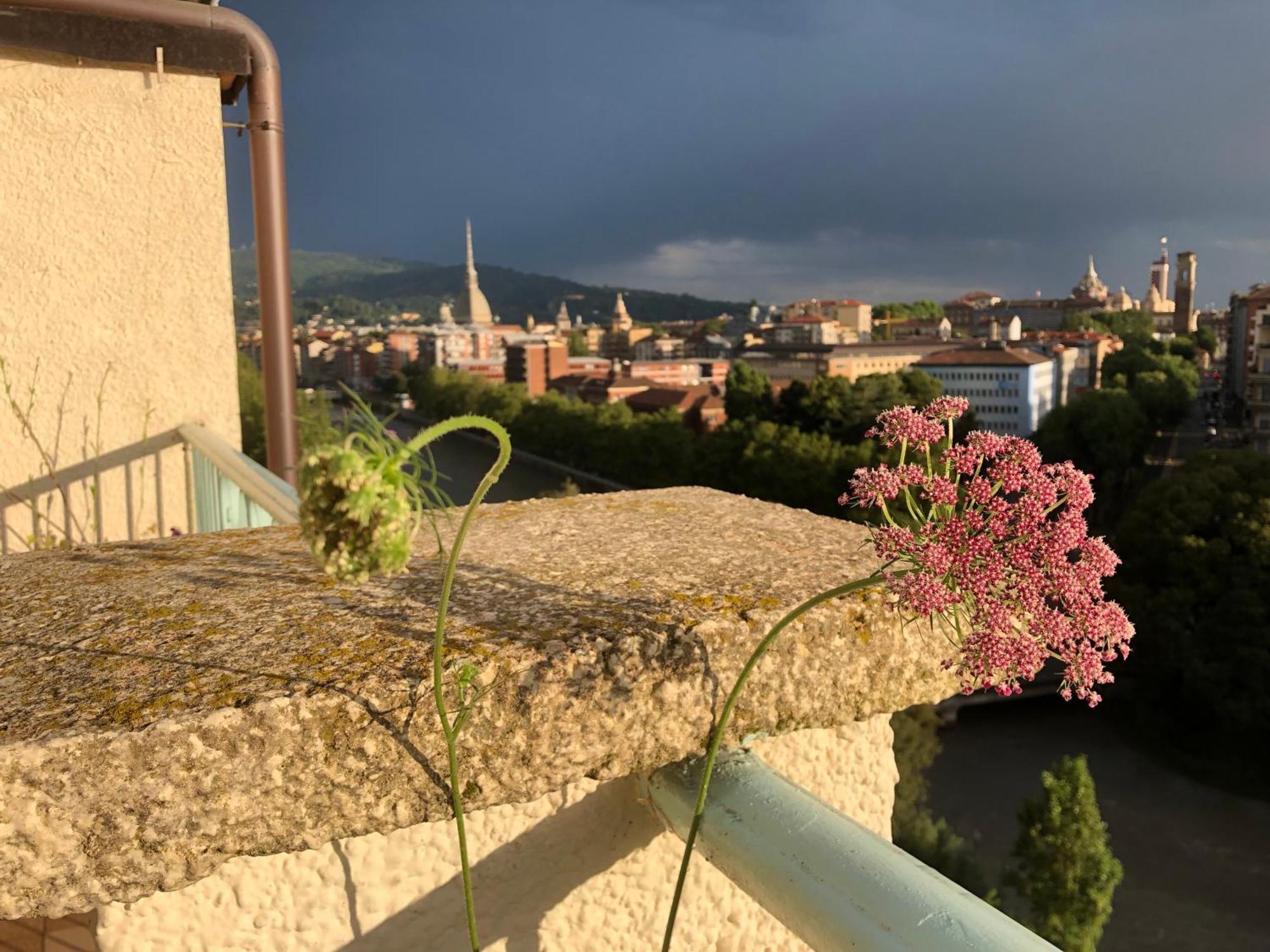 Attico Ellen Terrazza Con Vista Apartment Turin Bagian luar foto